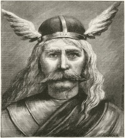 bir Viking by English School