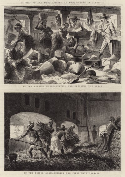 Batı Hint Adaları Ziyareti, Şeker İmalatı, III (gravür) by English School