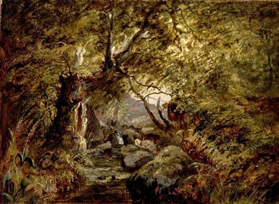 Bir Woodland Deresi by English School