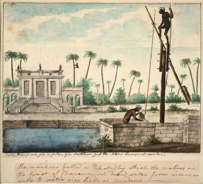 Sulamayı gösteren bir kolonyal bahçe, c.1787 (kağıt üzerine suluboya) by English School