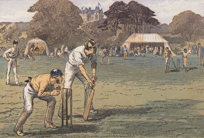 Bir kriket maçı (renkli litho) by English School