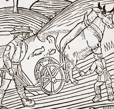 Bir sabana boyunduruk altına alınmış bir çift öküz, John Fitzherberts Boke of Husbandry
