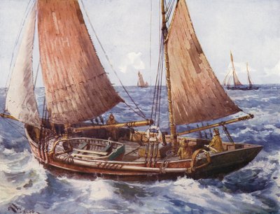 Denizde bir trol (renkli taş) by English School