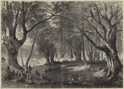 Epping Ormanı