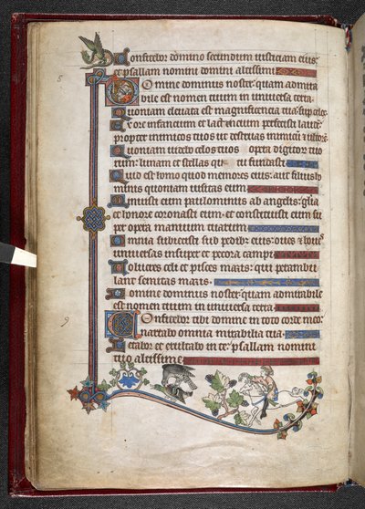 MS 24686, f.14v, Boy on midilli ve şahin av ördeği ekleyin, c.1284-1316 (parşömen) by English School
