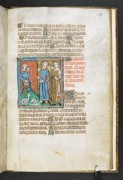 MS 47680, f.65r Aristoteles