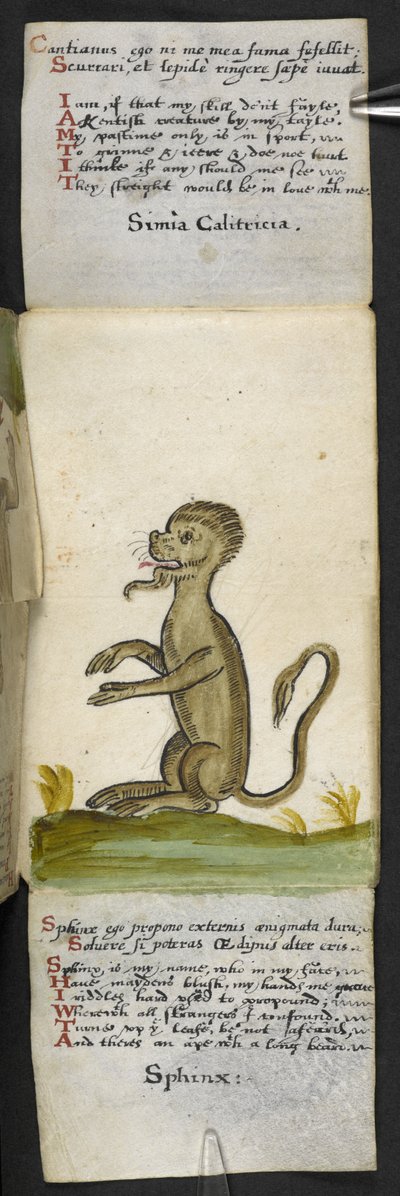 MS 57312 f.14 Oyun kitabını ekleyin (parşömen üzerine mürekkep ve renk) by English School