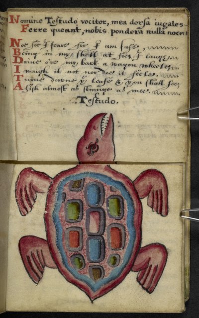 MS 57312 f.5 Oyun kitabını ekleyin (parşömen üzerine mürekkep ve renk) by English School
