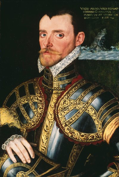 Amiral Sir Richard Hawkins (1532-1595), yaklaşık 1590 (panel üzerine yağlıboya) by English School