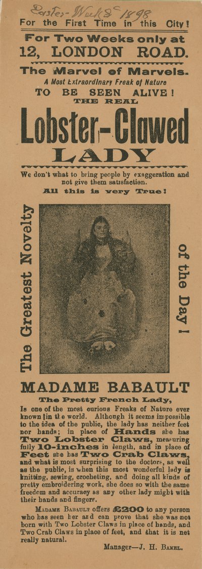 Istakoz pençeli bayan Madame Babault