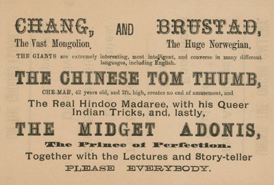 Chang, Brustad, The Chinese Tom Thumb ve The Midget Adonis