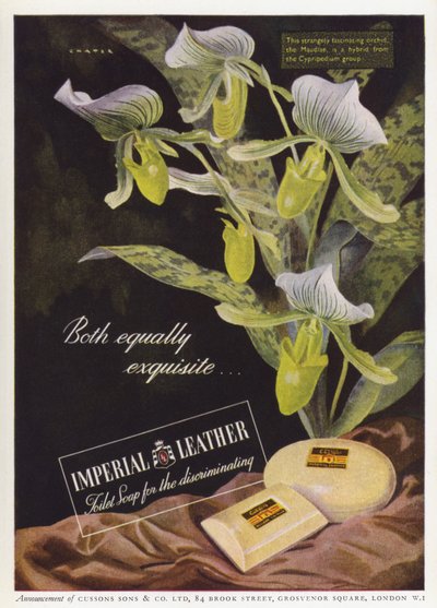 Cussons Imperial Leather sabun (renkli lito) için reklam by English School