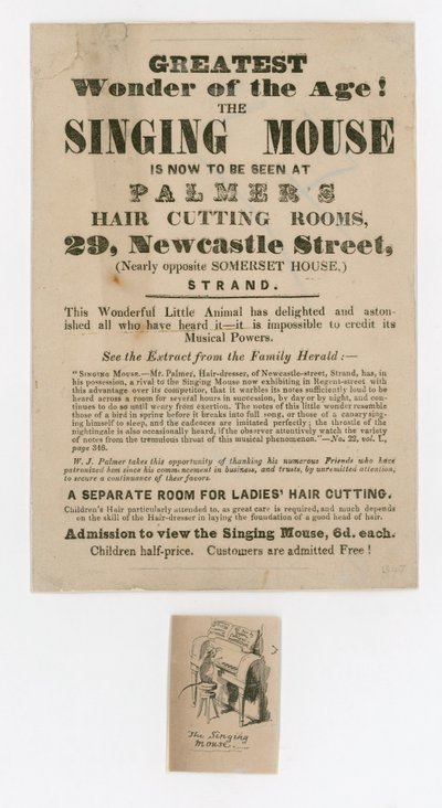 Şarkı Söyleyen Fare Reklamı by English School