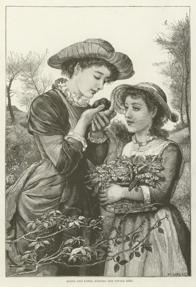 Agnes ve Ethel küçük kuşu buluyor by English School