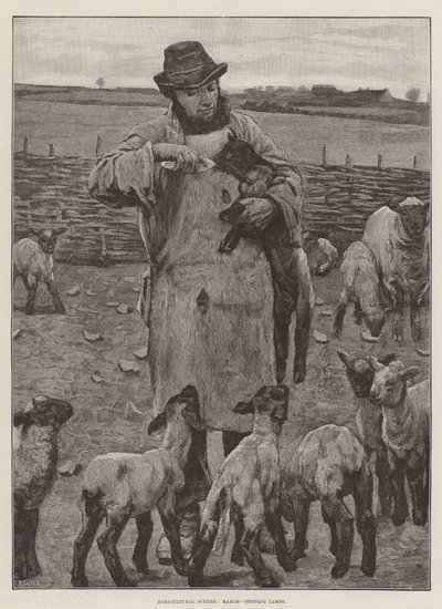 Tarım Manzaraları, Mart, Kuzuları Besleme (gravür) by English School