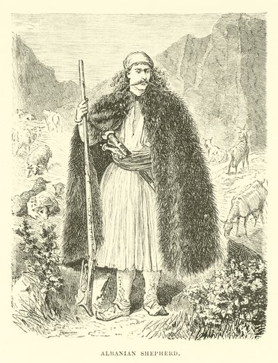 Arnavut çoban by English School