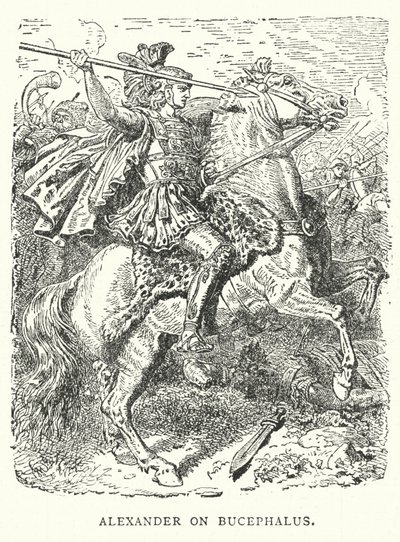 İskender Bucephalus