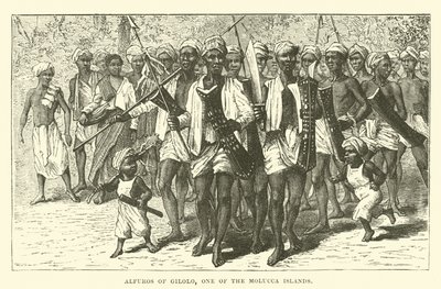 Molucca Adaları