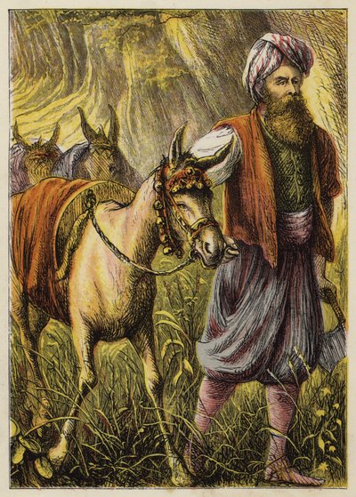 Ali Baba ve Kırk Haramiler (renkli taş) by English School