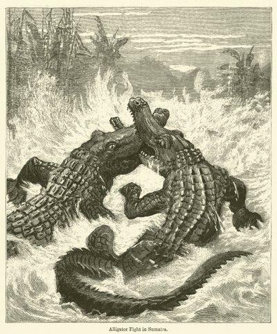 Sumatra