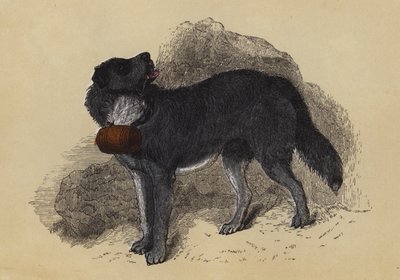 Alpine Mastiff (renkli taşbaskı) by English School