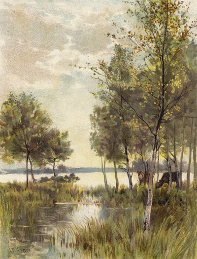 Bir Sonbahar Akşamı by English School