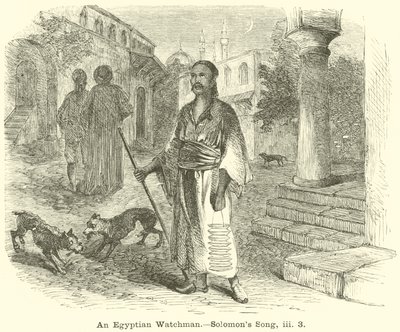 Mısırlı Bir Bekçi, Solomons Song, iii, 3 by English School