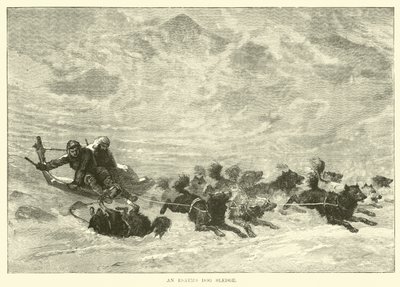 Bir Eskimo Köpek Kızağı by English School