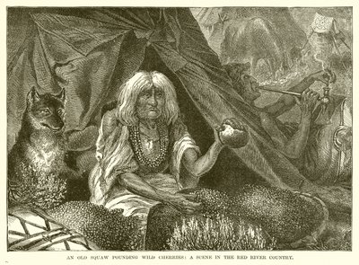 Yabani Kirazları Vuran Yaşlı Bir Squaw: Red River Country