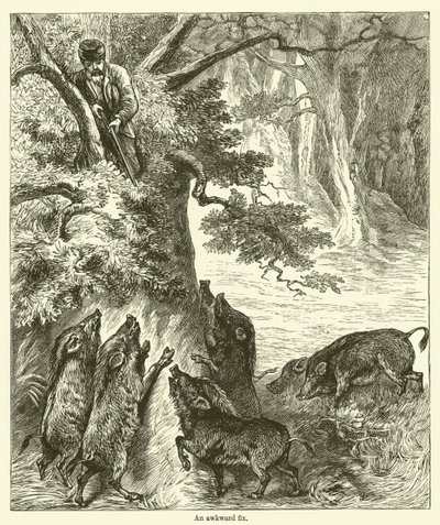 Garip bir düzeltme (gravür) by English School