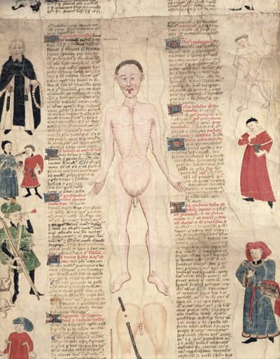 Anatomik diyagram, John Ardene tarafından De arte phisicali e de cirugia