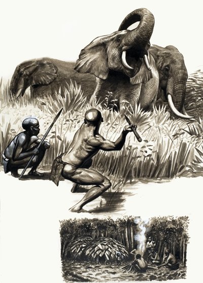 Dünyanın Kadim Halkları: Ormanın Küçük Tuzakçıları by English School