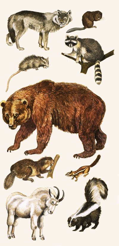 Kanada