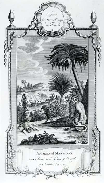 Maragnan Hayvanları, Moores Voyages and Travels, 1778