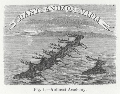 Animosi Akademisi (gravür) by English School