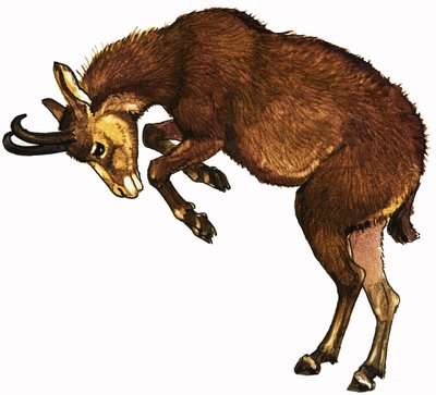 Antilop by English School