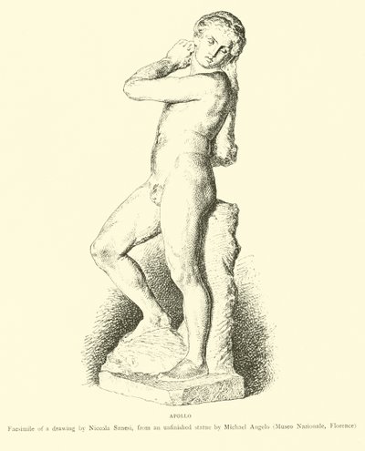 Apollon by English School