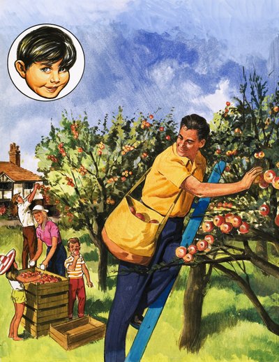 elma toplayıcıları by English School