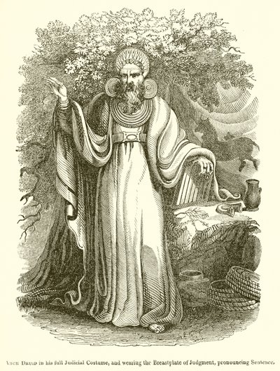 Arch Druid, Adli Kostümü içinde ve Yargının Göğüs Zırhını takmış, Cümleyi Söylerken by English School