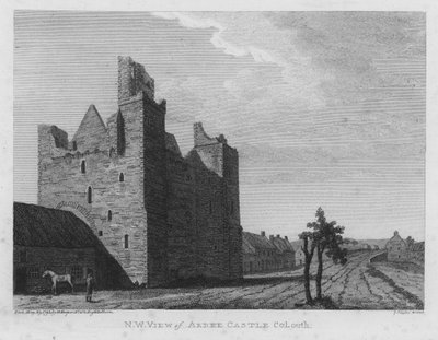 Ardee Kalesi, County Louth, İrlanda by English School