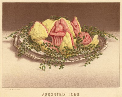 Karışık Buzlar (renkli lito) by English School