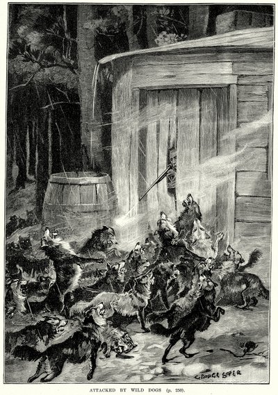 Vahşi Köpeklerin Saldırısı (gravür) by English School