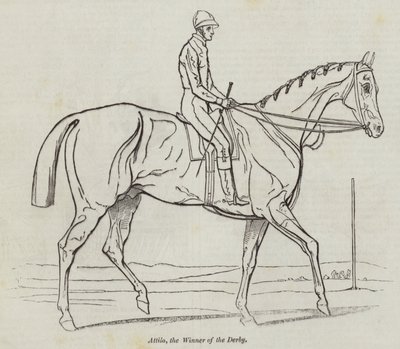 Derbiyi Kazanan Atilla (gravür) by English School