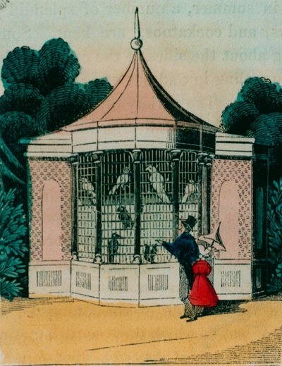 Londra hayvanat bahçesinde papağanlar ve kakadular için kuşhane. 1840