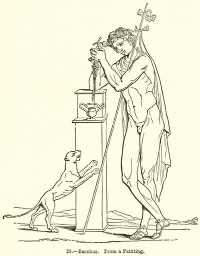 Baküs by English School
