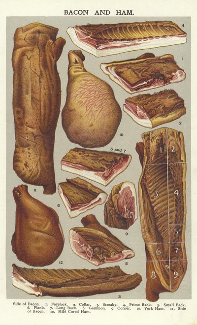 Pastırma ve jambon by English School