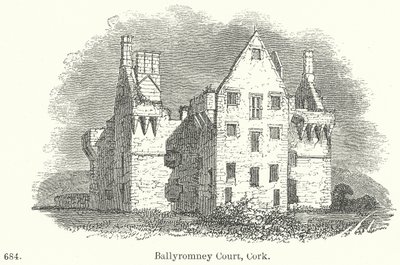 Ballyromney Court, Cork (gravür) by English School