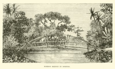 Borneo