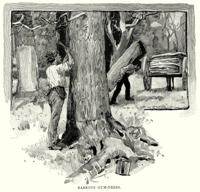 Barking Gum-Trees (gravür) by English School