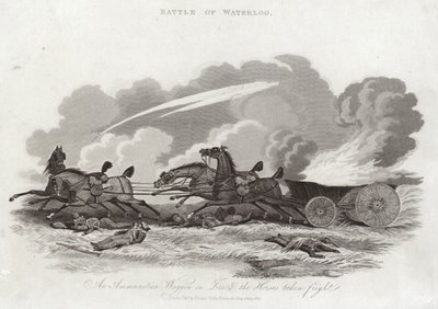 Waterloo Savaşı by English School